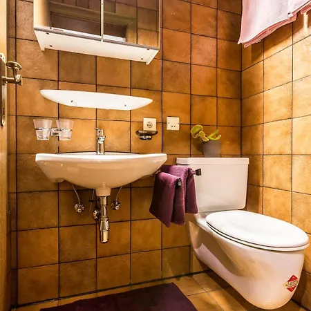 Rosa Appartement Bürserberg