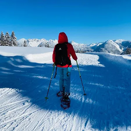 Rosa Appartement Bürserberg