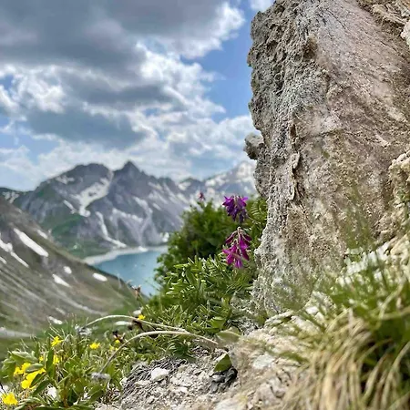 Rosa * Bürserberg